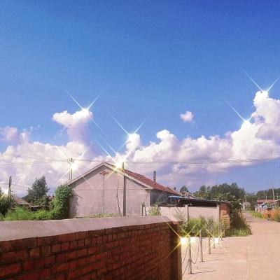 江南app下载手机版