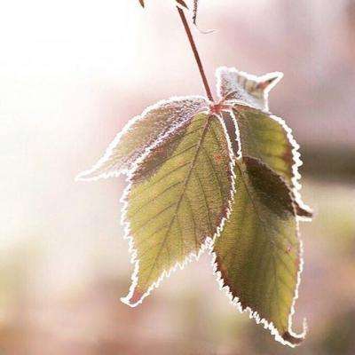 开玩棋牌手机app下载