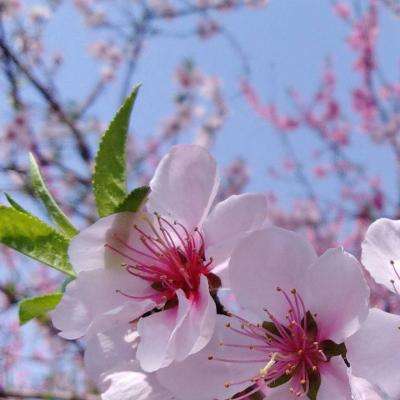 腾讯分分下载手机版